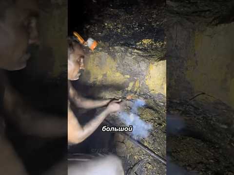 Самые сложные профессии