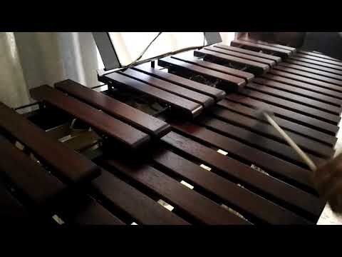 Inni di lode N°102: Avanti io vò Marimba Cover