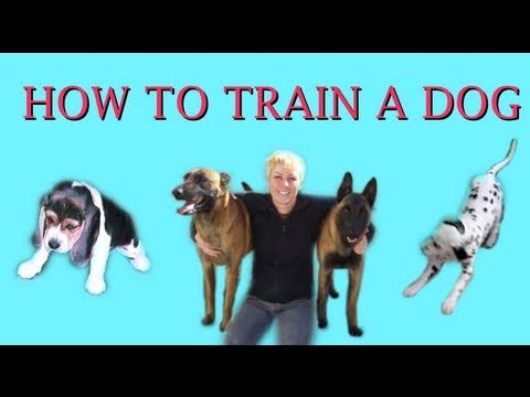 STOP UNWANTED behaviors with BACK UP