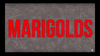 Marigolds Music Video