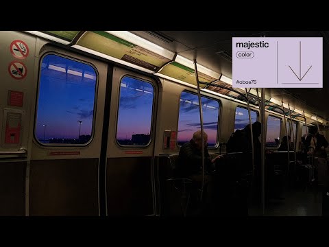 Mr. Hong - million | majestic color
