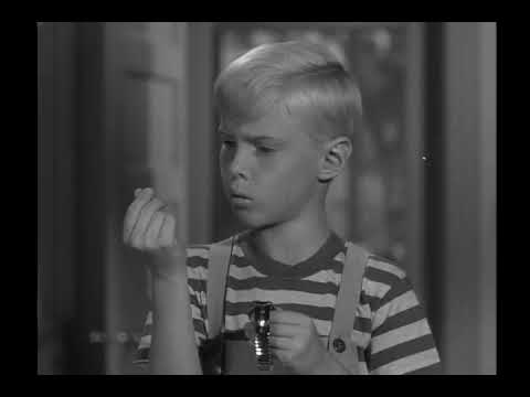 Dennis The Menace - S01E02 - Dennis And The Signpost