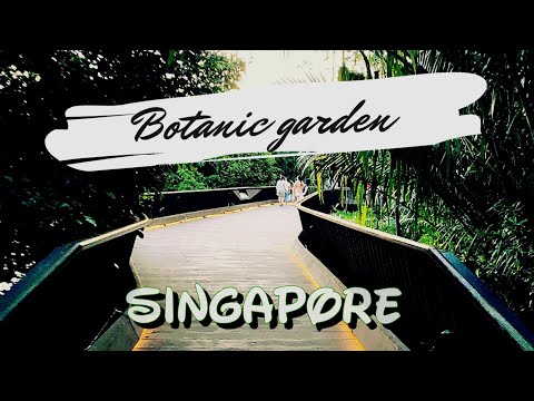 WALKING TRAIL AT BOTANIC GARDEN| SINGAPORE GARDEN| SINGAPORE PICNIC SPOT| SIMPLY COOKING WITH ZABEEN