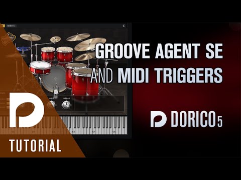 Groove Agent SE and MIDI triggers | Dorico 5