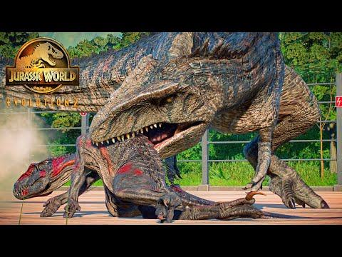 The Great Carnivorous Dinosaurs are Fighting the Dominion Giganotosaurus 🌍 JURASSIC WORLD EVOLUTION