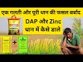 खेत मे DAP Or Zinc कब और कैसे डाले DAP Or Zinc सल्फेट 