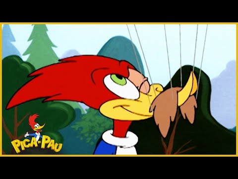 Capa de Pica-Pau em Português | Pica-Pau Na Floresta | Compilação De 1 Hora | Desenhos Antigos