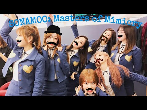 Sonamoo: Masters of Mimicry