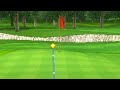 The Final Wii Sports Golf Platinum Medal