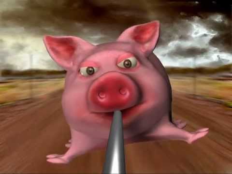 מטרופולין - חזירים - קליפ