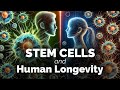 A Closer Look At Stem Cells And Human Longevity