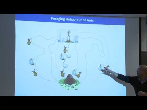 Equation Discovery with Genetic Programming