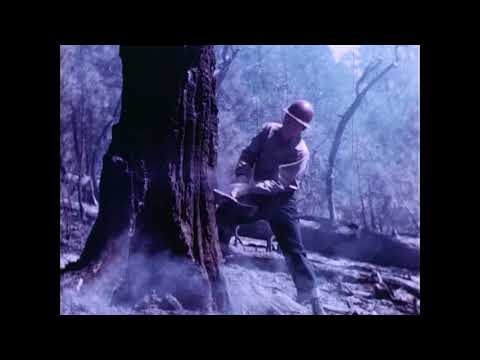 WFSTAR: Forest Smokechaser 1948 film re-edit
