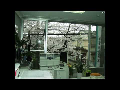 Missed Kiss - Digigirl (Instrumental)