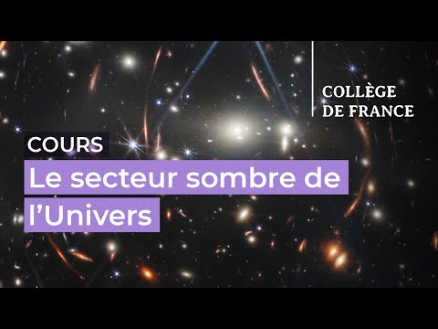 Le secteur sombre de l'Univers : matière et énergie noires (1)