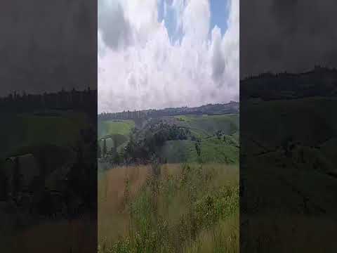 Rua do Rosário, Aliança-PE