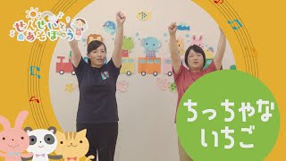 【せんせいとあそぼう】ちっちゃないちご／きほ先生・あやの先生