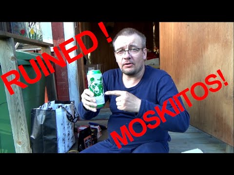 MOSKIITOSKIITOS ja RUINED Pier !