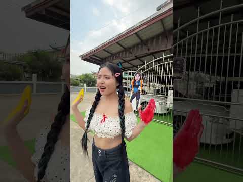 เบื้องหลังความวุ่นวาย