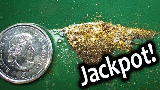 Three Surprises, and a Jackpot! (Gold in every gold pan)