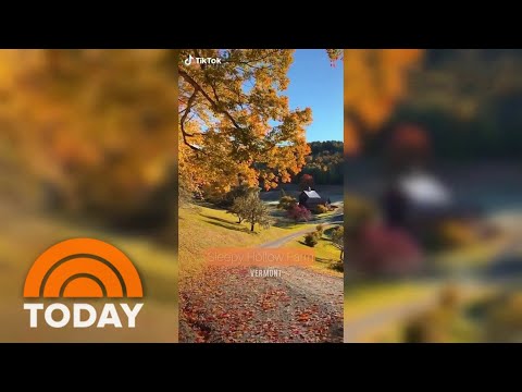 Feud over fall foliage as local Vermont residents ban leaf peepers