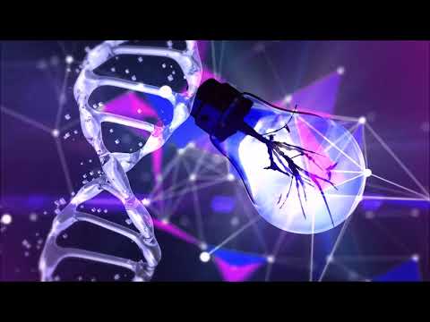 Brødo and Økapi - Rivoluzione Informale [Full EP + Visuals]