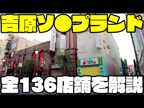 IUCN分類における絶滅の危険性を示す図。