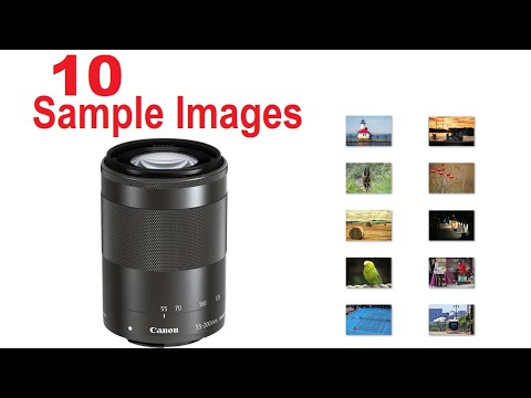 Canon EF-M 55-200mm f/4.5-6.3 Sample Images [Photo Gallery] Telephoto Zoom for Nature/Sports/Travel