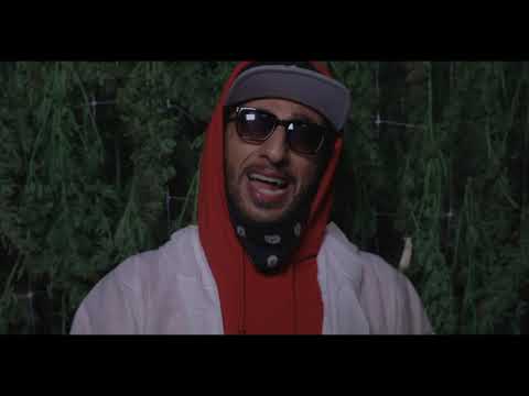 Mi Hanno Detto Di Piantarla (Official Video)