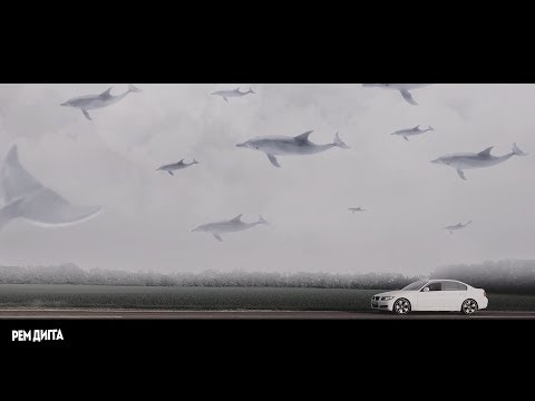 Video thumbnail for Дельфины (Dolphins)