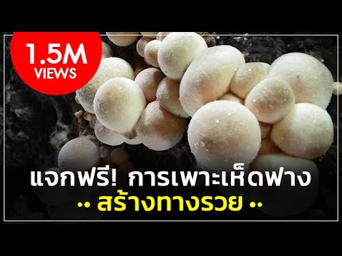 ทั้งในบ้านที่จะทำให้ Exciter สำหรับผู้หญิง สำหรับ muzhchiny.mazi เพื่อเพิ่มความแข็งแรง