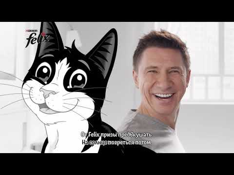 Реклама Феликс |  Миллион получи с котом | Тимур Батрутдинов