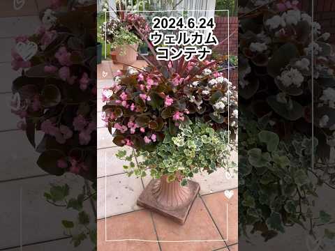 菜園コンテナを構築するにはどうすればよいですか?なぜコンテナでガーデニングをするのか？応援ビデオ  庭園