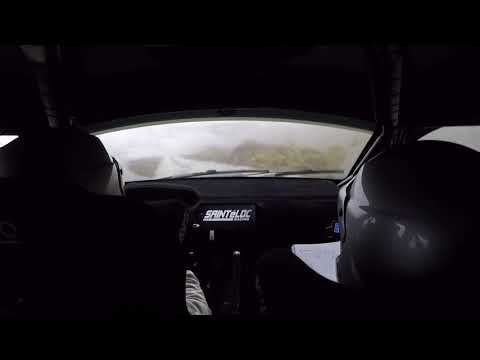 Ekaterina Stratieva / Georgi Avramov SS 10 Rally Hungary 2019 Onboard