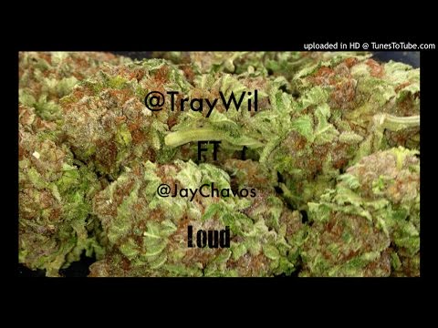 T Wil Ft Jay Chavos- Loud ( June 2015 ) Mix By DeeJayUnruly