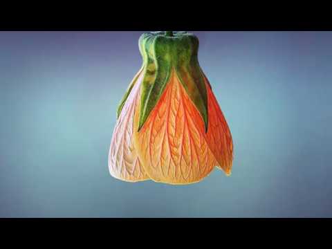 Grupul Iehova Nisi -  Increde-te-n iubire!