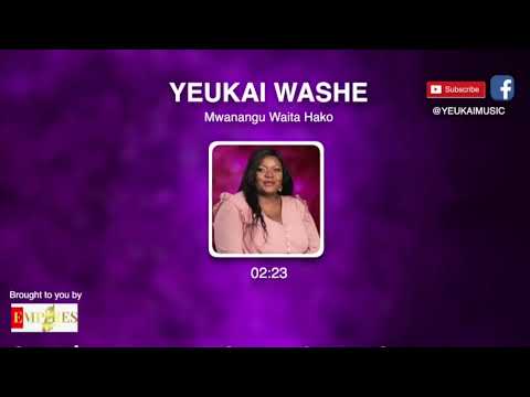 Yeukai - Mwanangu Waita Hako (Official Audio Visualiser)