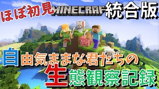 【参加型/統合版】初見とかおもろくない訳がない【PS4/マイクラ】