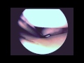 The Pastels - Secret Music (Slow Summits) Unofficial Video