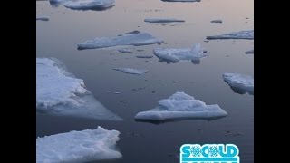 Allan Kingdom-Froze [Official Audio]