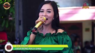 Download lagu Satus 20 Dina Voc.Rina Afandi Live Primaega  Dusun copol kel peaantren  kec ulujami pemalang mp3
