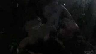 Lost: Sawyer and Kate Tribute. Don&#39;t Cry-GNR