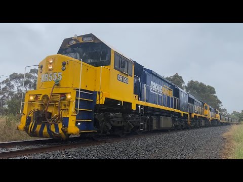 9157 Pacific National grain with XR555 XR552 XR551 from Geelong headed towards Ballarat 30/10/2023