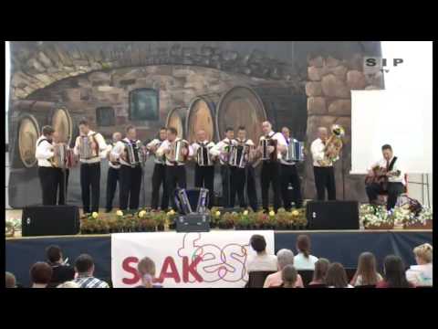 Harmonikarski orkester Barbara premogovnik - S harmoniko na rajžo