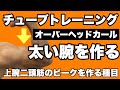 【上腕二頭筋】力こぶのてっぺんを高くするチューブトレーニング!