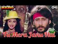 Tu Mera Jaanu Hai Tu Mera Dilbar Hai Anuradha Paudwal Manhar Udhas Hero 80 S Hindi Songs