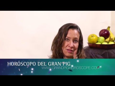 2016 Año del Mono de Fuego