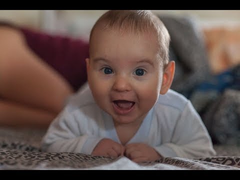 La faccia di ringiovanimento fa i bagagli da oli di semi di chicco duva Pacchi di faccia nutrienti e occhio