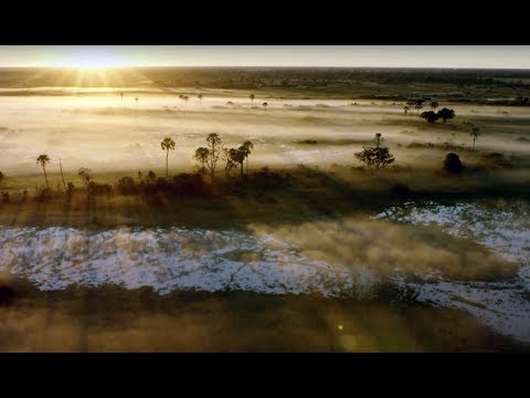 10 Hours Of Relaxing Planet Earth II Grassland Sounds | BBC Earth Explore