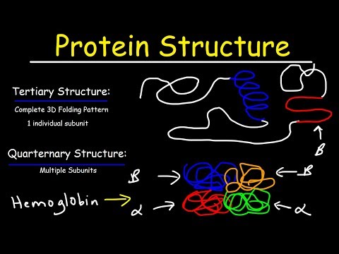 image-How do you interpret the structure of a protein?